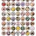 New -- Natures Royalty collage sheet in 1 inch circles -- piddix no. 748