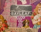 Limited Edition 8 X 11.5 Fine Art Print.-Bayleaf
