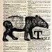 Tapir - Print on Vintage Dictionary Page