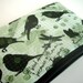 Green Zipper Pouch Coin Purse Eco Friendly Little Gadget Case Padded - NEW Natures Walk