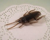 Cockroach Hair Clip