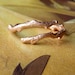 Silver Bypass Branch Ring