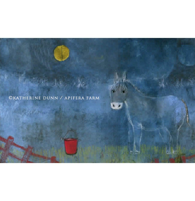 Blue Donkey and Red Bucket