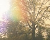 parchment sky print 8x12