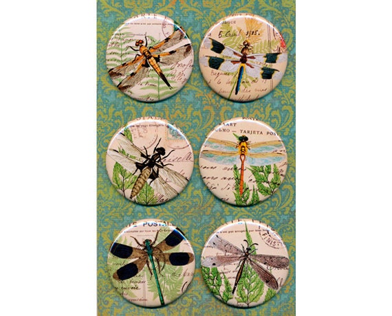 Set of (6) Dragonfly Magnets Shabby Vintage Inspired Cottage Chic 2.25 Inches Diameter