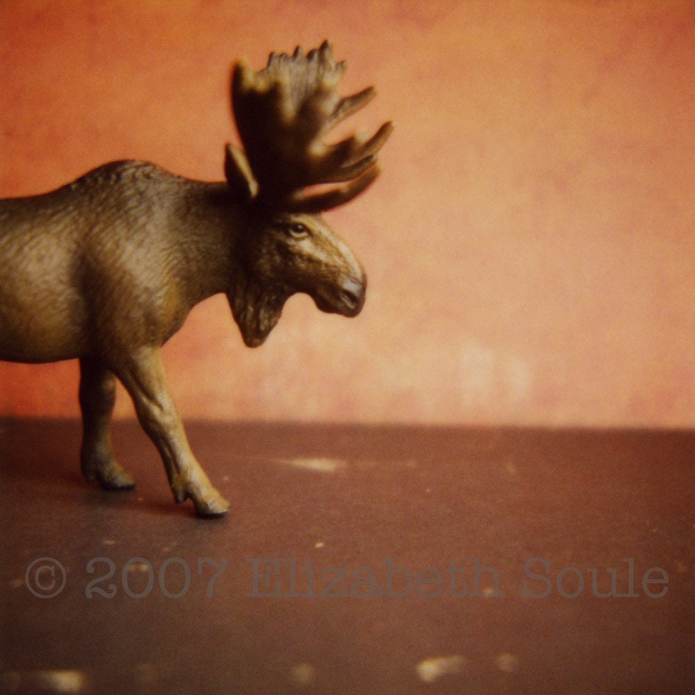 Moose on Red print