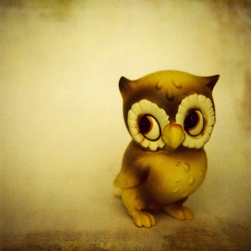 Vintage Owl 6x6 print
