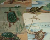 TURTLES Vintage Paper Pack for Altered Art and Collages Theme Kit 221