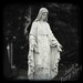 Our Lady of Grace - TTV Photograph - 8x8 Metallic Print