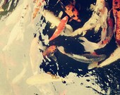 Abstract Fine Art Photograph, Golden Koi Fish,  Orange, Swimming in a Pond, Water, Zen Photo, Yin Yang,  4x6 Print