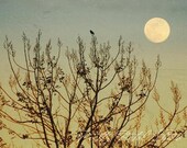 Bird Tree and Moon . Fine Art Photograph . Whimsical Art . 5x7 Print
