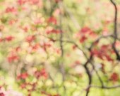 Abstract Tree, Autumn, Fall, Red, Yellow, Green, Blooms, Leaves, Bokeh, Fine Art Photograph, Wall Art . 8x10 Print