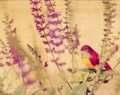 Fine Art Photograph, Mixed Media, Purple Flowers, Red Decorative Bird, Texture, Whimsy, Golden, Woodland, Nature Art, Home Decor, 4x6 Print