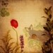 Abstract Fine Art Photograph, Golden Mixed Media Garden, Red Ranunculus, Texture, Butterfly, Word JOY, Home Decor,  Square 8x8 Print