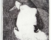 Bird Etching Drawing Black and White Plover