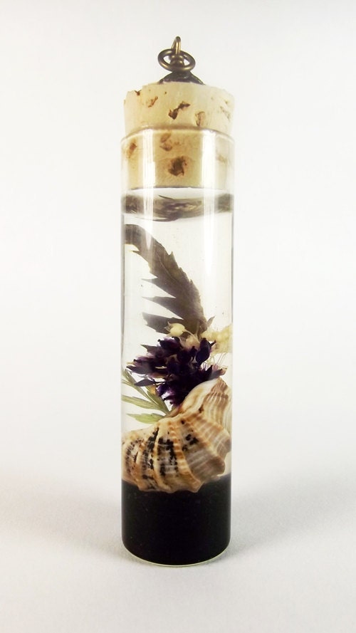 Shell Terrarium--fox shell