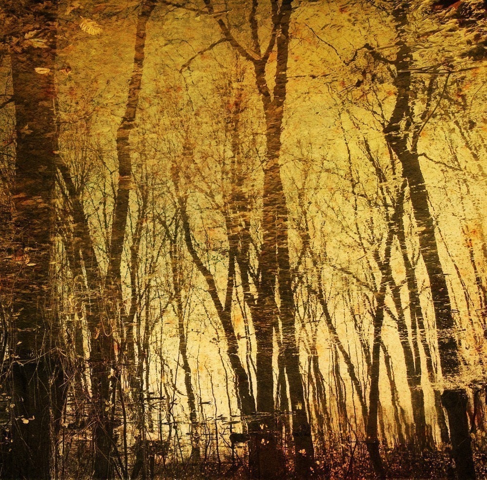 Liquid Forest - 8x8 Fine Art Print on Metallic Paper