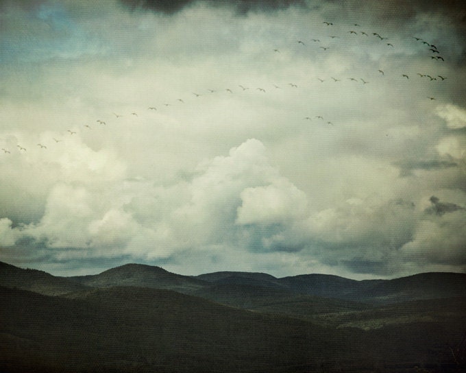 Landscape Photograph, Mountain, Nature - Flight Path - Clouds, Birds, Sky, Blue, Teal