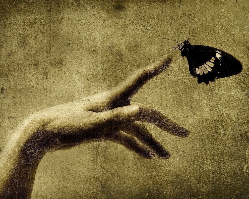 Contact - 8x10 Fine Art Print