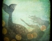 I've heard the mermaids singing - 8x8 fine art print