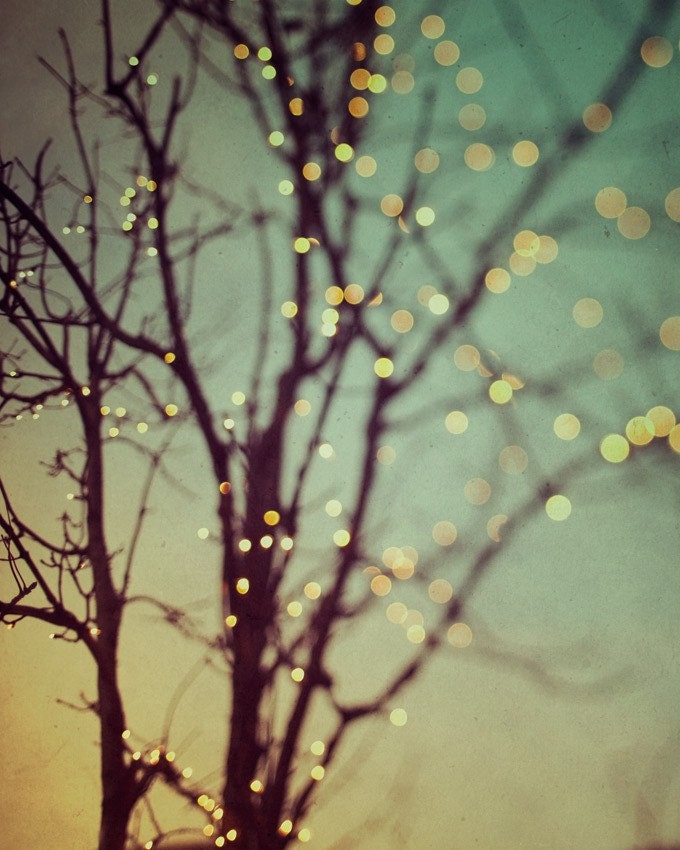 Tree photograph, Winter photography, Lights, Bare Branches, Christmas magic, Green, Yellow - Sparkle and Dance