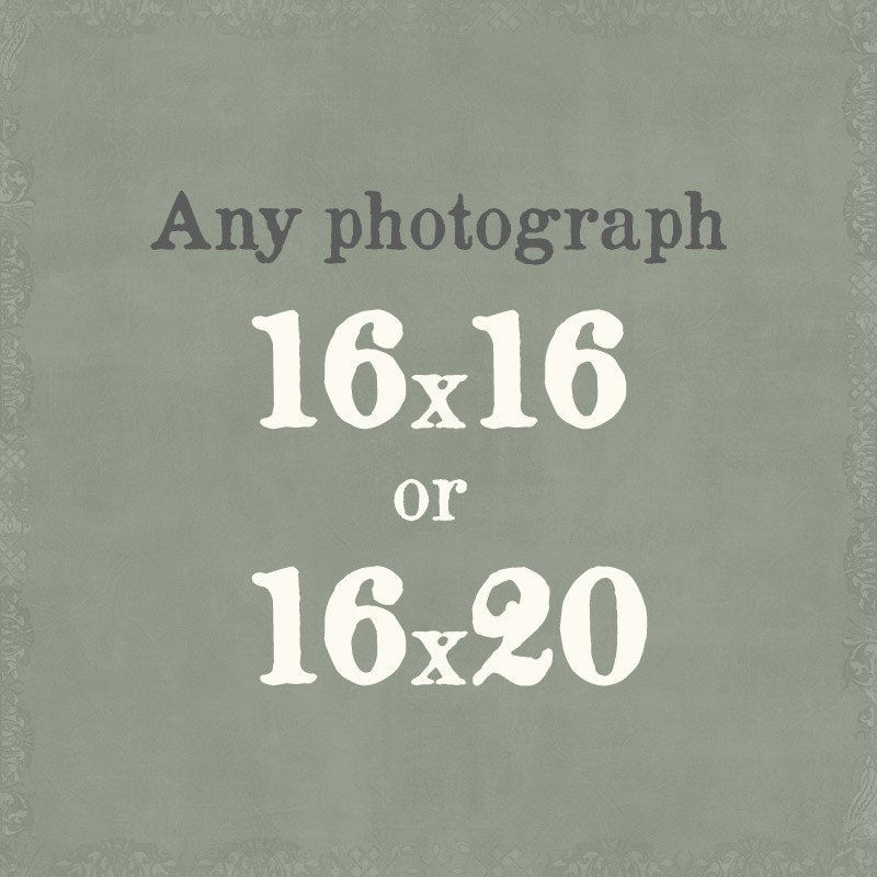 Any 16x20 or 16x16 print