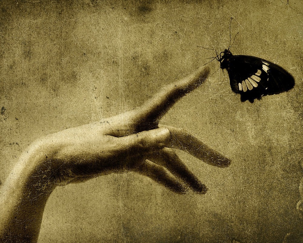 Hand And Butterfly