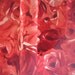 Red Red Rose Retro Style Half Apron
