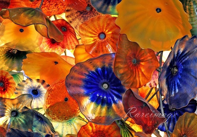 Bellagio flower art  8x10
