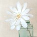 Botanical Art Print - Flower Photograph - Shabby Chic Artwork - Flower Print - Flower Wall Decor - Nature Photography - "White Magnolia"