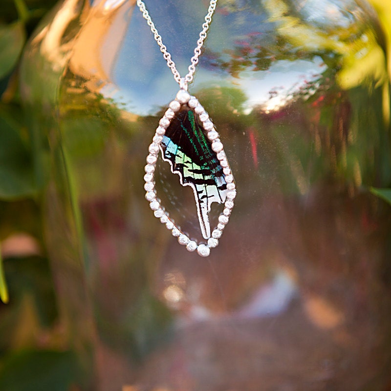 Green Page Moth Necklace
