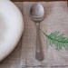 tea towel, fern
