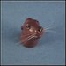 Playful Pup - California Sea Lion sculpture, cat whiskers, whimsical