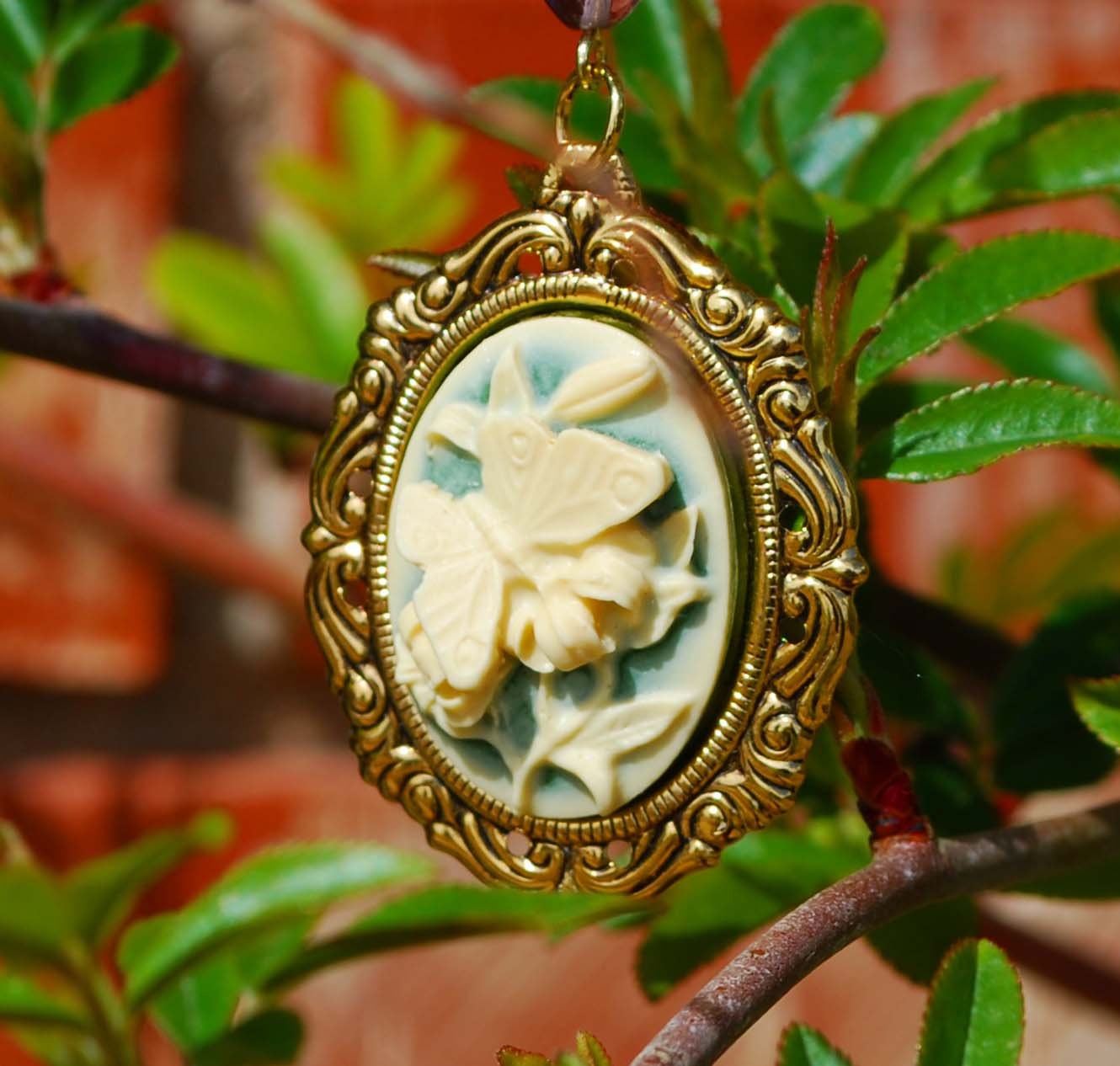 Gift Set Butterfly Necklace and Cameo Thumbtacks