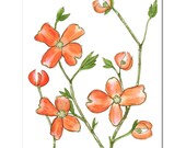Dogwood in Tangerine--8"X10" Fine Art Print