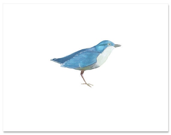 Bird in Blue-8"X10" Fine Art Print