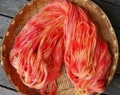 Hand painted wool in autumn colours......16ply