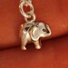 Tiny Wonders, Elephant Crossing Necklace