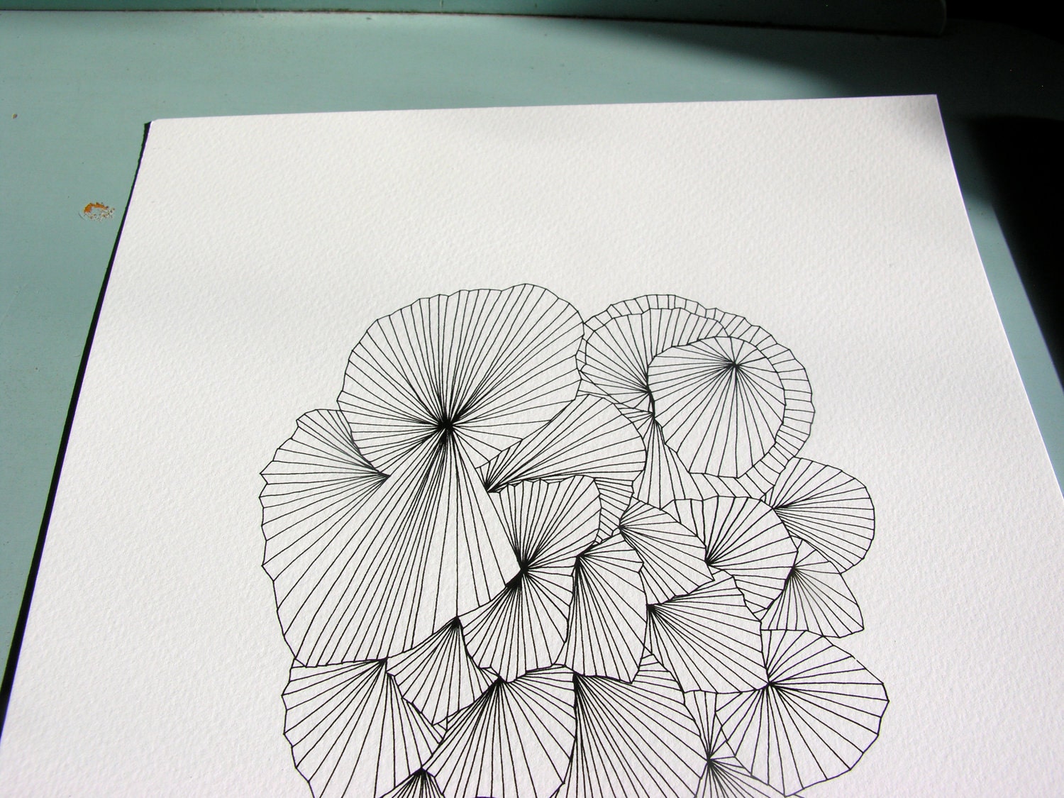 A Fan of a Fan 8x10 Abstract Fine Art Archival Print of Original Pen and Ink Drawing