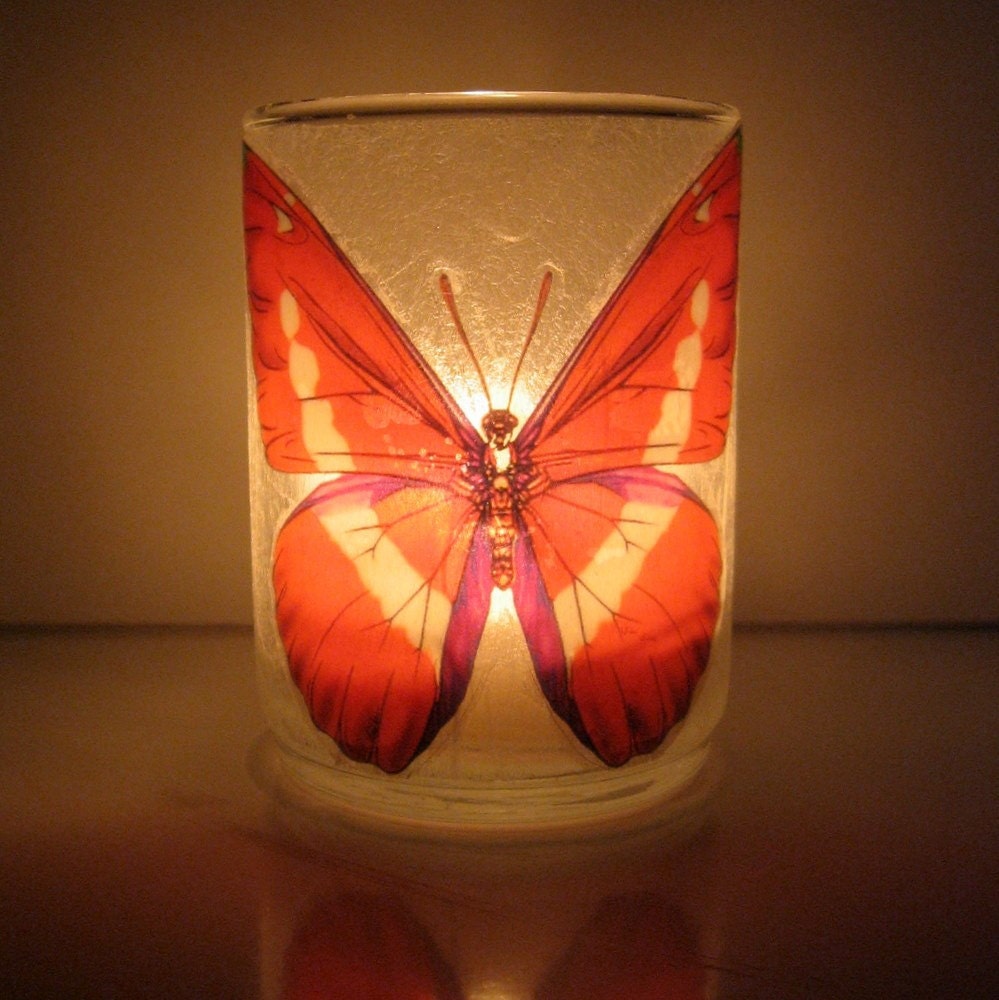 Butterfly Earth Light