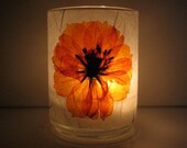 Ladybird Cosmos Earth Light - candle, candle holder, tea light, pressed flower, natural, handmade paper, spring and summer, gift