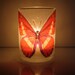 Butterfly Earth Light
