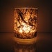 Dark Forest - Scattered Raintree Leaves Earth Light