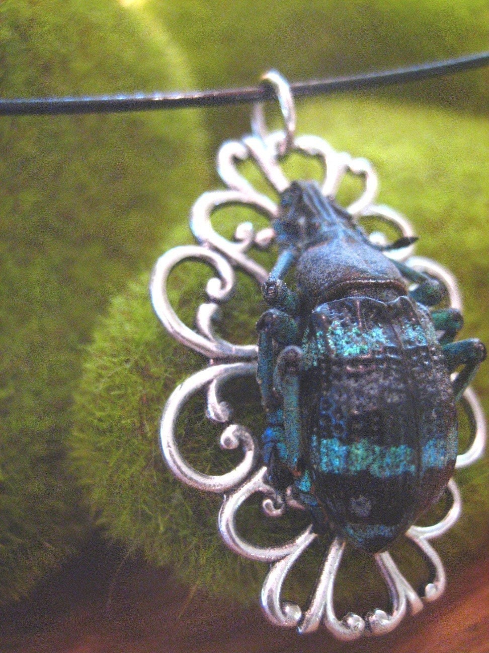Silver Weevil Necklace Real Beetle Insect Art