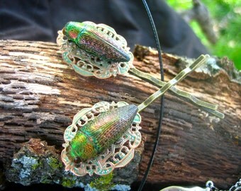 Real Jewel Beetle Hair Pins