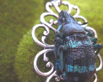 Silver Weevil Necklace Real Beetle Insect Art