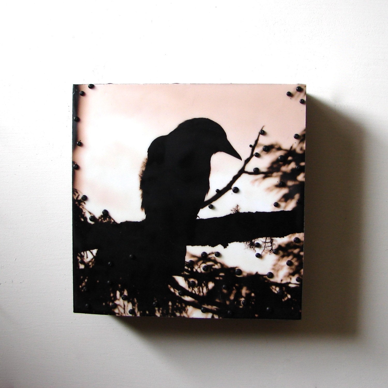 Westcoast Blackbird Original Encaustic Art