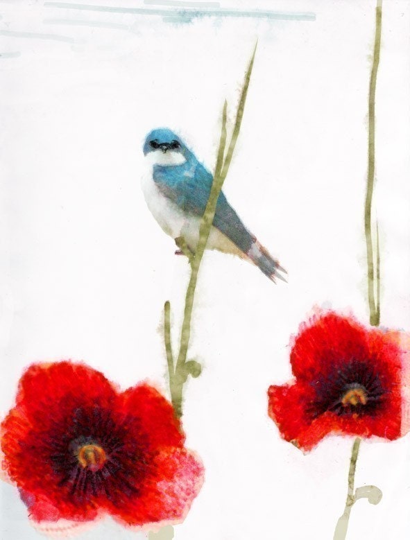 Summer Swallow Bird Print - Botanical Art -Poppy Artwork