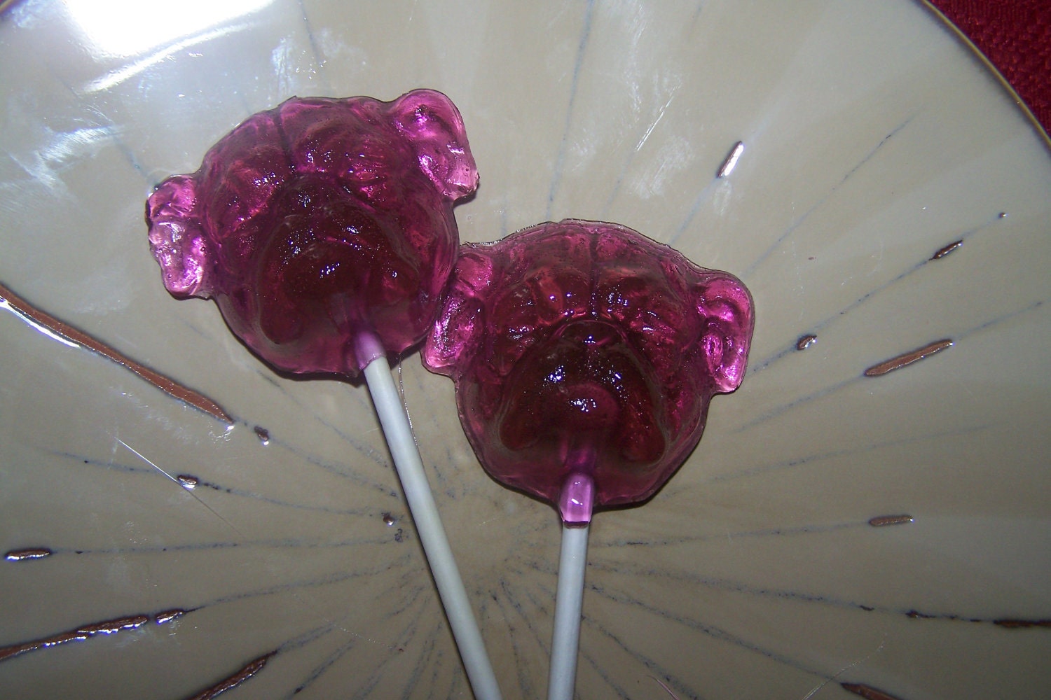10 Bulldog School Spirit Lollipop Suckers Party Favors Bull Dog