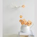 Orange Blossom - Wild Roses Fairy Lights